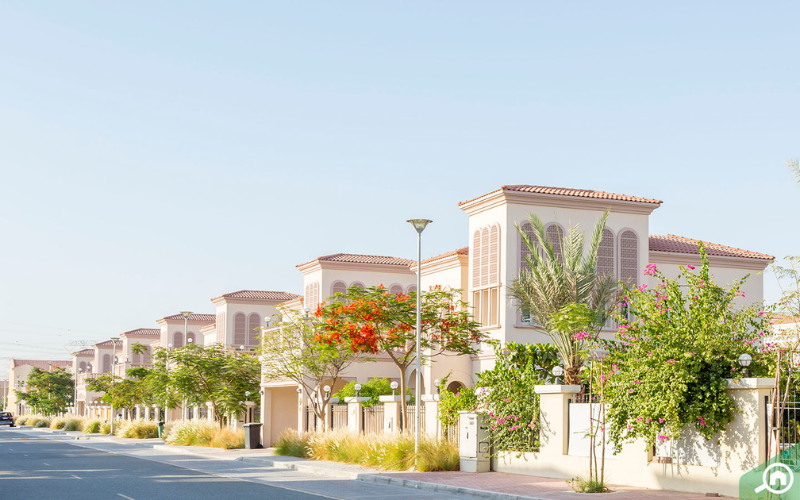 Untitled design - 2026-03-14T123648.050